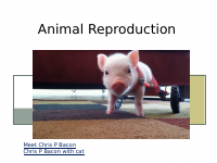 Animal Reproduction PP Part 1 (1).pptx